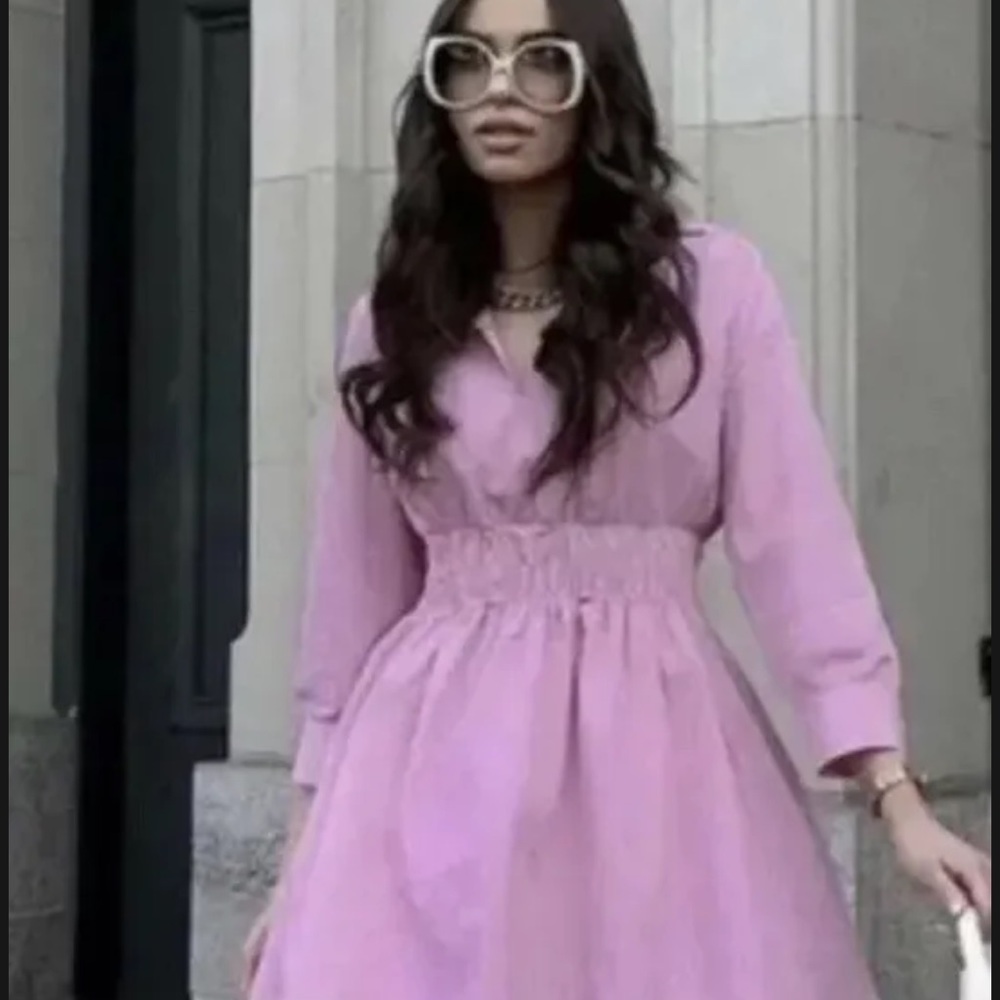 ZARA Poplin Cotton Short Dress Pink Gathered Waist Smocked M